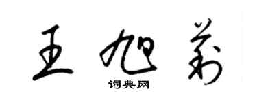 梁锦英王旭莉草书个性签名怎么写