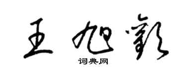 梁锦英王旭欢草书个性签名怎么写