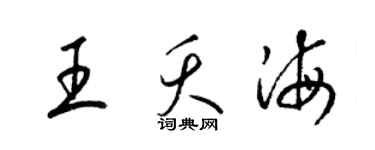 梁锦英王夭海草书个性签名怎么写