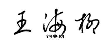梁锦英王海柳草书个性签名怎么写