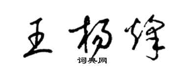 梁锦英王杨烽草书个性签名怎么写