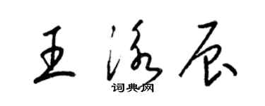梁锦英王泳辰草书个性签名怎么写