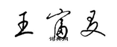 梁锦英王富友草书个性签名怎么写