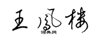 梁锦英王凤楼草书个性签名怎么写