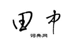 梁锦英田中草书个性签名怎么写