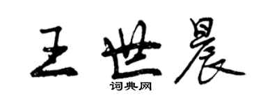 曾庆福王世晨行书个性签名怎么写