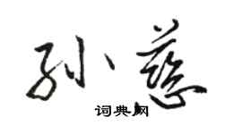 骆恒光孙慈行书个性签名怎么写