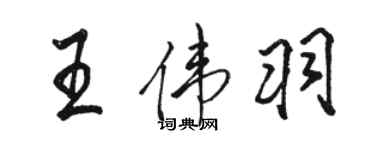 骆恒光王伟羽行书个性签名怎么写