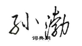 骆恒光孙渤行书个性签名怎么写
