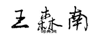 曾庆福王森南行书个性签名怎么写