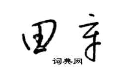 梁锦英田辛草书个性签名怎么写