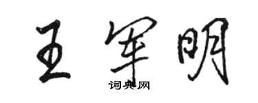 骆恒光王军明行书个性签名怎么写