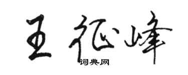 骆恒光王征峰行书个性签名怎么写