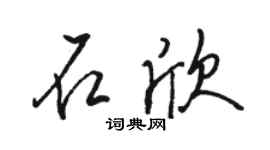 骆恒光石欣行书个性签名怎么写