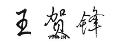 骆恒光王贺锋行书个性签名怎么写