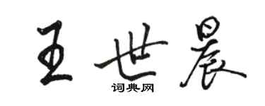 骆恒光王世晨行书个性签名怎么写