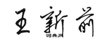 骆恒光王新前行书个性签名怎么写