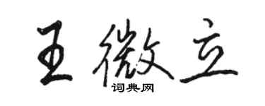 骆恒光王微立行书个性签名怎么写