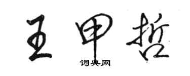 骆恒光王甲哲行书个性签名怎么写