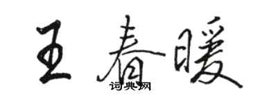 骆恒光王春暖行书个性签名怎么写