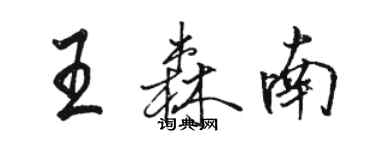 骆恒光王森南行书个性签名怎么写