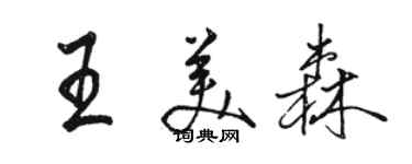 骆恒光王美森行书个性签名怎么写
