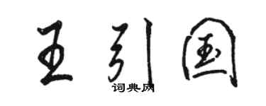 骆恒光王引国行书个性签名怎么写