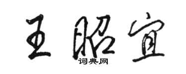 骆恒光王昭宜行书个性签名怎么写