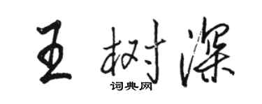 骆恒光王树深行书个性签名怎么写