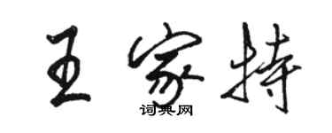 骆恒光王家特行书个性签名怎么写