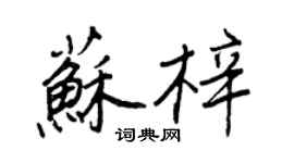 王正良苏梓行书个性签名怎么写