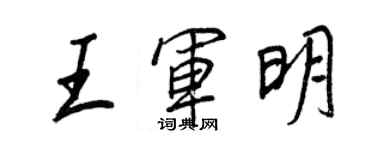 王正良王军明行书个性签名怎么写