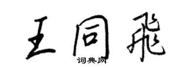 王正良王同飞行书个性签名怎么写