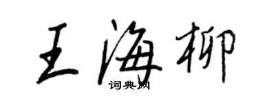 王正良王海柳行书个性签名怎么写