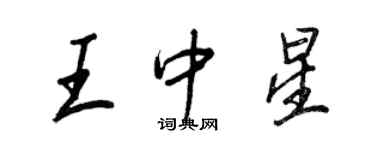 王正良王中星行书个性签名怎么写