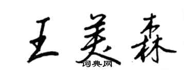 王正良王美森行书个性签名怎么写