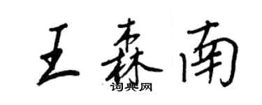 王正良王森南行书个性签名怎么写