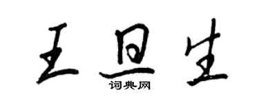 王正良王旦生行书个性签名怎么写