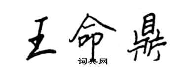 王正良王命鼎行书个性签名怎么写