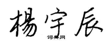 王正良杨宇辰行书个性签名怎么写