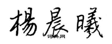 王正良杨晨曦行书个性签名怎么写