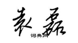 王正良袁磊行书个性签名怎么写