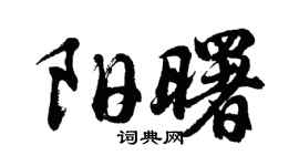 胡问遂阳曙行书个性签名怎么写