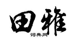 胡问遂田雅行书个性签名怎么写