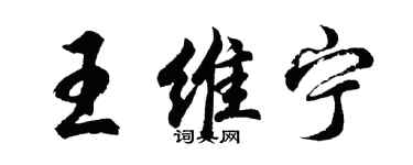 胡问遂王维宁行书个性签名怎么写