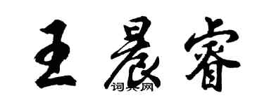 胡问遂王晨睿行书个性签名怎么写