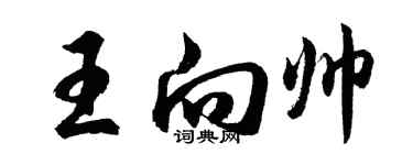 胡问遂王向帅行书个性签名怎么写