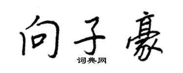 王正良向子豪行书个性签名怎么写