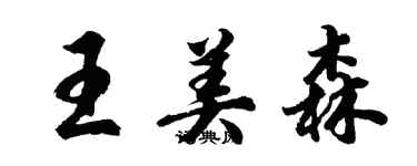 胡问遂王美森行书个性签名怎么写