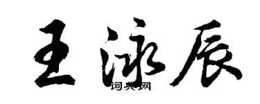 胡问遂王泳辰行书个性签名怎么写
